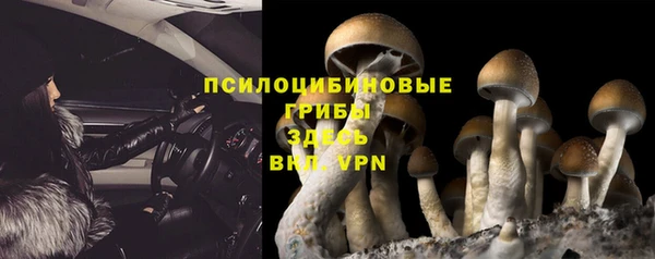 дмт Кулебаки