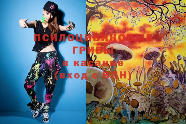 скорость Кукмор