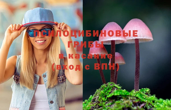 крисы Куйбышев