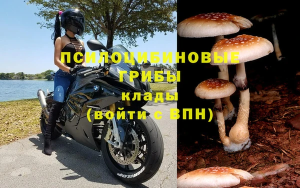 скорость Кукмор
