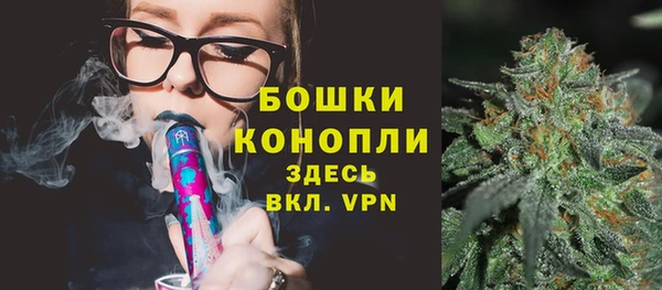 дмт Белокуриха