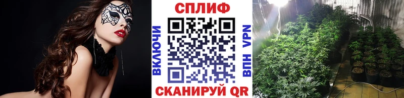 Каннабис план  магазин продажи наркотиков  Жуковка 
